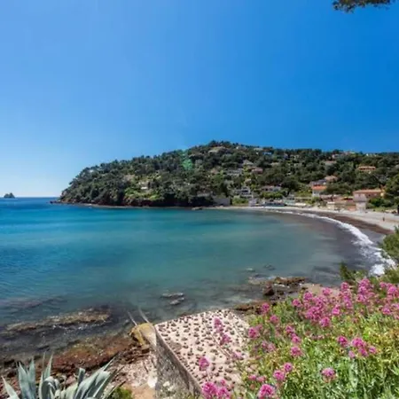 Bright - 50 M From The Sea La Seyne-sur-Mer